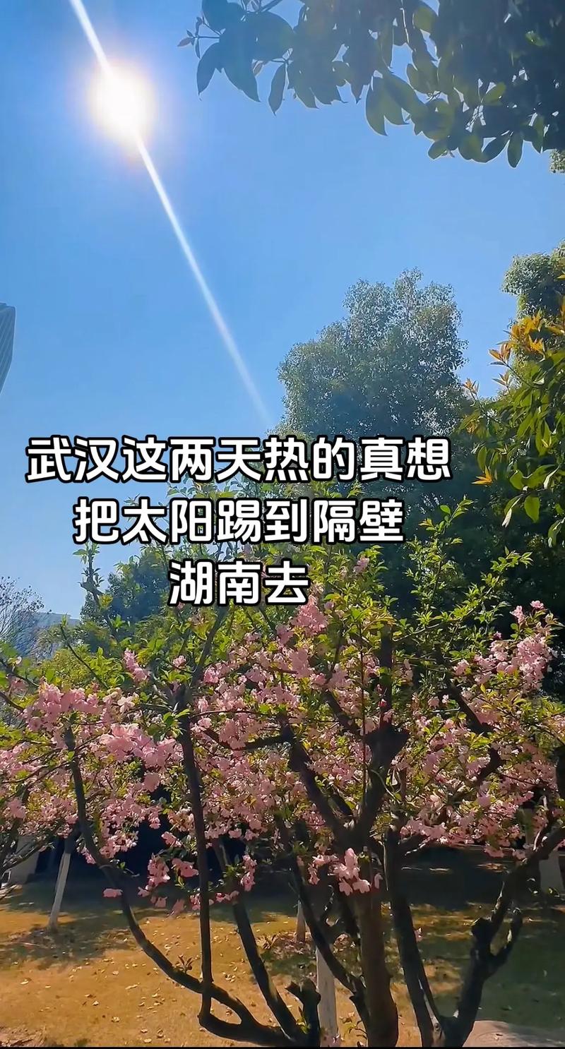 武汉天气预报15天准确？湖北天气预报15天最新消息？
