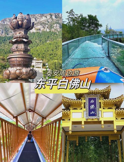 天气预报宁阳，天气预报宁阳15天？-第1张图片-优品飞百科