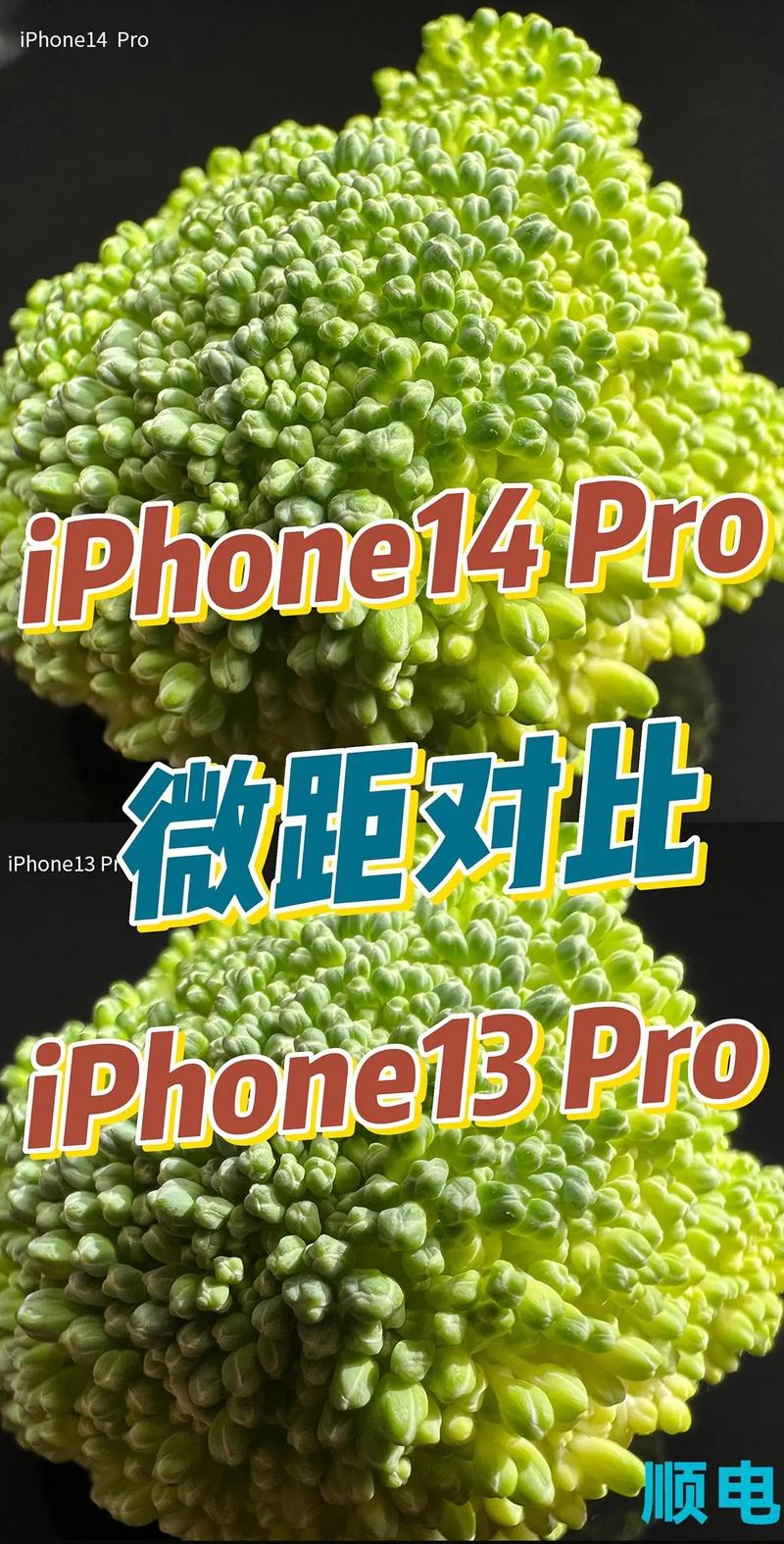 苹果13pro和苹果14参数对比？iphone 13 和pro区别？-第2张图片-优品飞百科