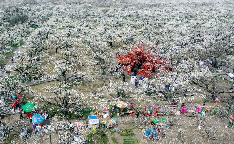 砀山县天气预报？砀山县天气预报24小时？-第3张图片-优品飞百科