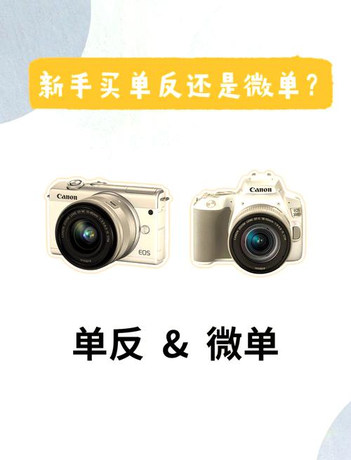 佳能550d中关村？佳能eos550d费用？-第3张图片-优品飞百科