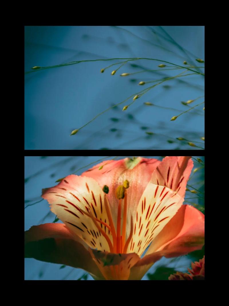 尼康d7000拍星空用什么镜头，nikond700拍星空？