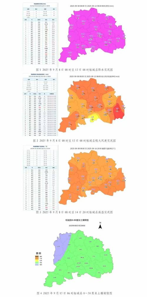 津南天气预报？津南天气预报15天查询百度？-第4张图片-优品飞百科