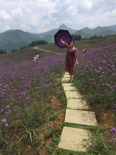 娄山关天气预报，娄山关天气预报15天景区天气？-第5张图片-优品飞百科