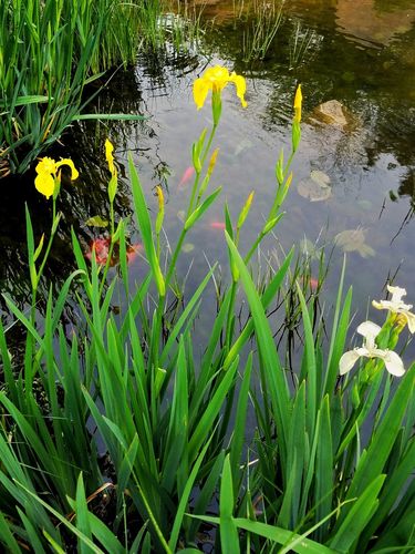 太和十五天的天气预报？太和15日天气？-第2张图片-优品飞百科