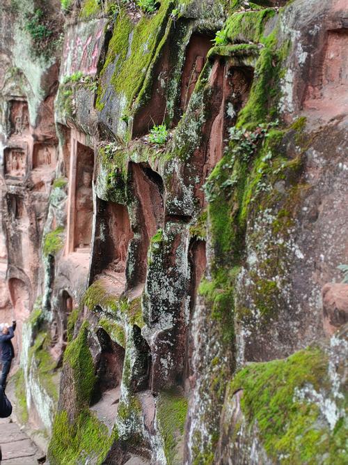 夹江县天气预报？四川省乐山市夹江县天气预报？-第3张图片-优品飞百科