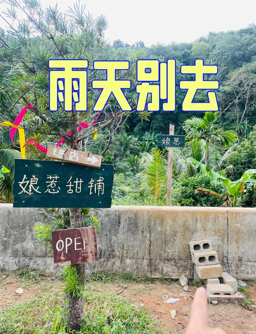 海南万宁天气预报？海南万宁天气预报15天？-第4张图片-优品飞百科