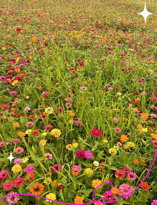 九台一周天气预报，九台天气预报实时-第2张图片-优品飞百科