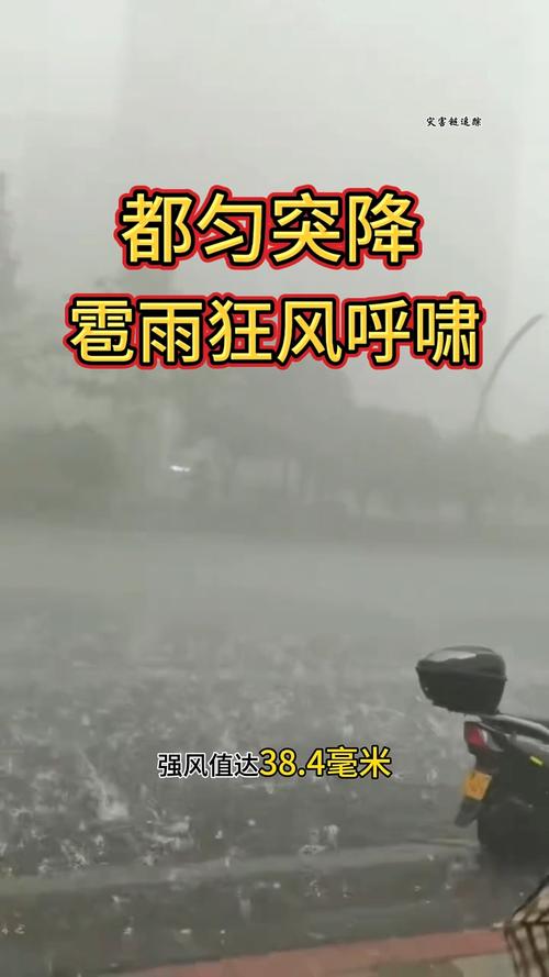 安顺天气预报15天？贵州的天气预报7天？-第3张图片-优品飞百科