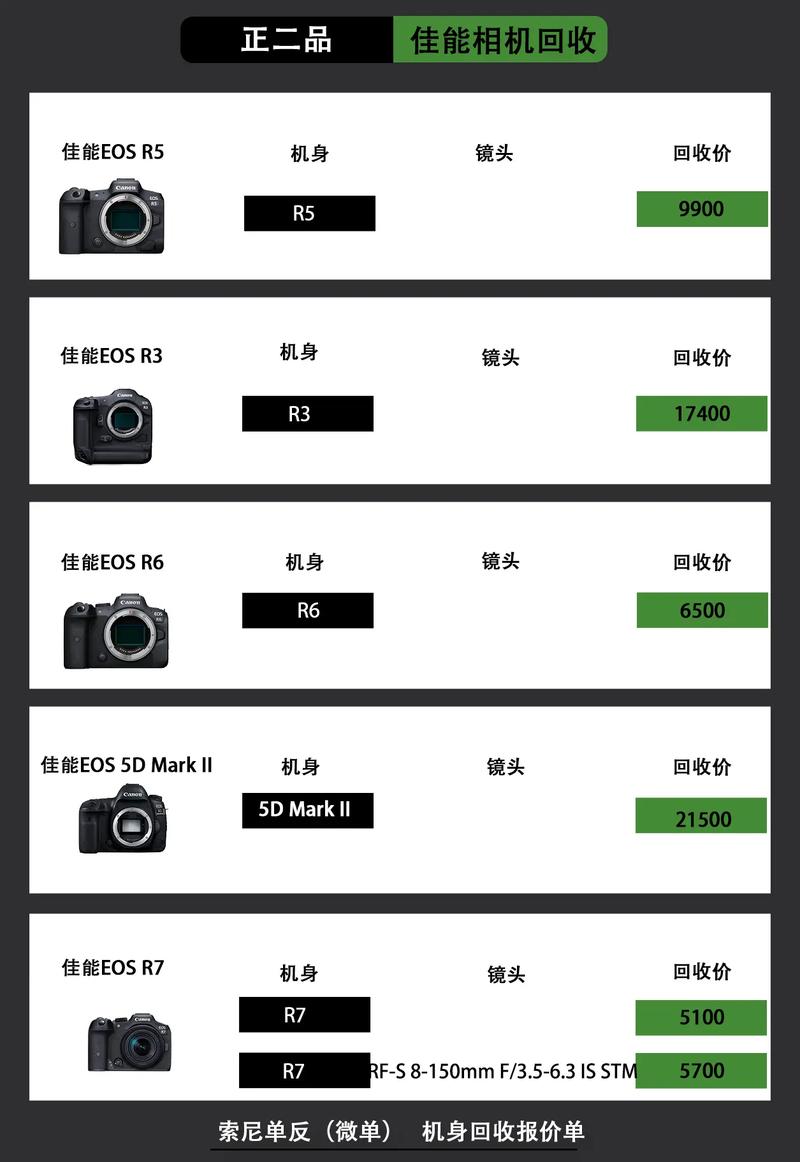 佳能300照相机费用，佳能300万像素相机？-第1张图片-优品飞百科