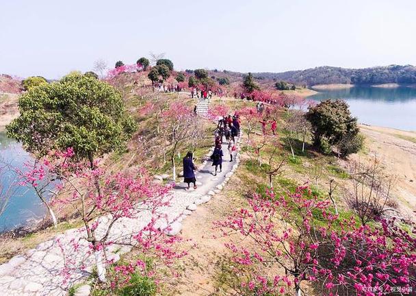 咸宁市咸安区天气预报？咸宁市咸安区天气预报7天？-第3张图片-优品飞百科