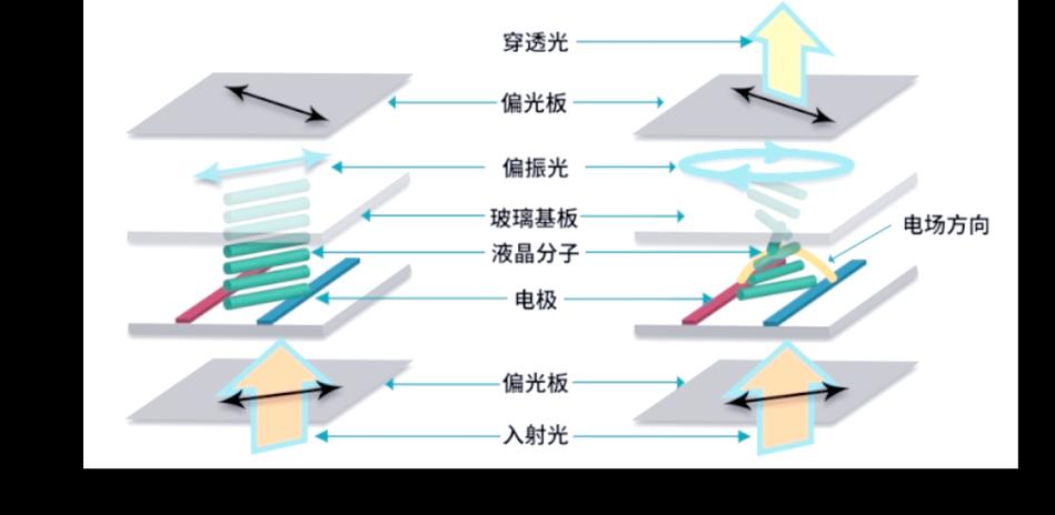 lcd屏幕跟oled屏幕哪个好，lcd屏幕和oled的区别-第3张图片-优品飞百科