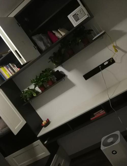 小米净化器3和pro选哪个，小米空气净化器3与pro区别-第2张图片-优品飞百科