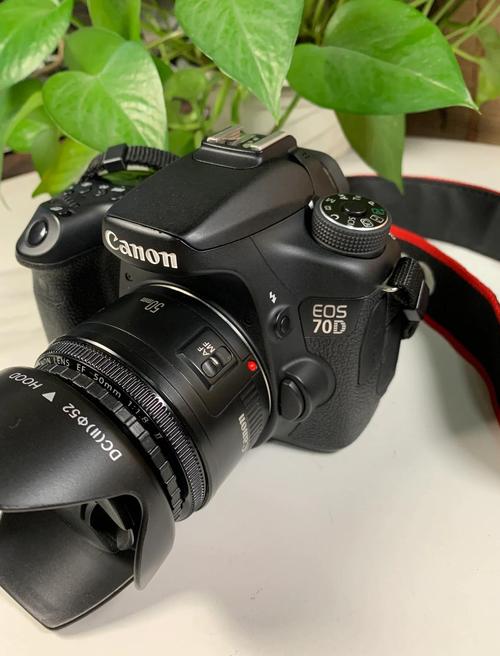 佳能80d机身报价？佳能80d多少钱了？-第3张图片-优品飞百科