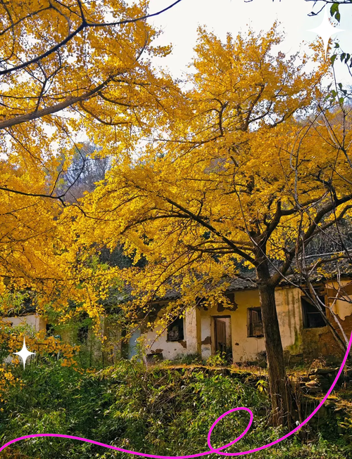 孝感市孝南区天气预报，孝感市孝南区天气预报下载最新？-第1张图片-优品飞百科