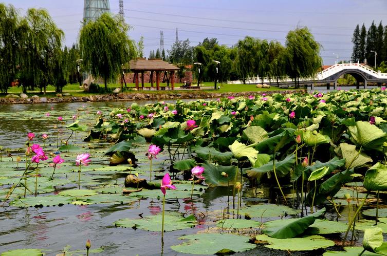 孝感市孝南区天气预报，孝感市孝南区天气预报下载最新？-第2张图片-优品飞百科