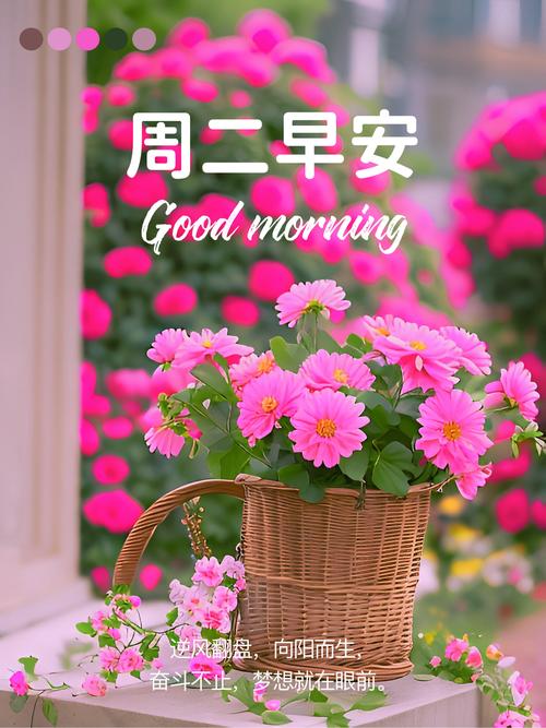 周二天气预报？杭州周二天气预报？-第2张图片-优品飞百科