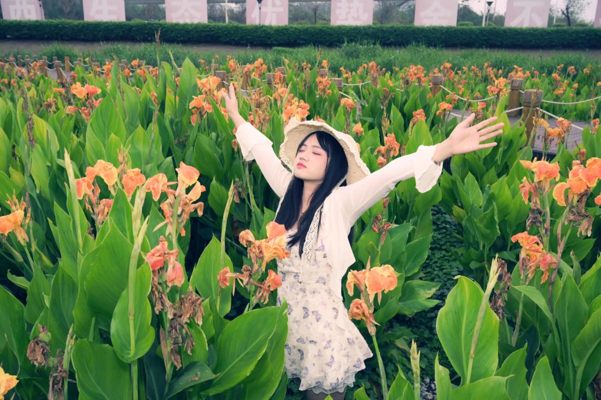 尼康d3500配什么镜头，尼康d3500适合什么镜头-第4张图片-优品飞百科