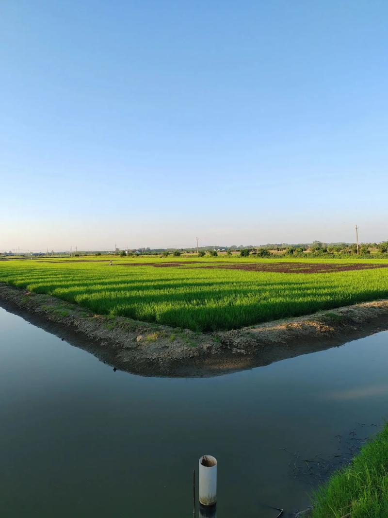 潜江天气预报十五天？天气预报15天查询潜江市？-第4张图片-优品飞百科