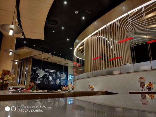 小米mix3拍月亮怎么调参数？小米mix3相机专业模式拍月亮？-第5张图片-优品飞百科