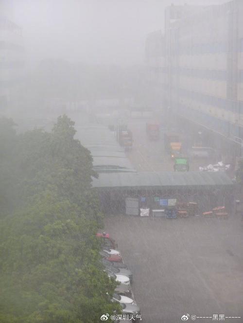 深圳市龙华区天气预报，深圳市龙华区天气预报一周-第3张图片-优品飞百科