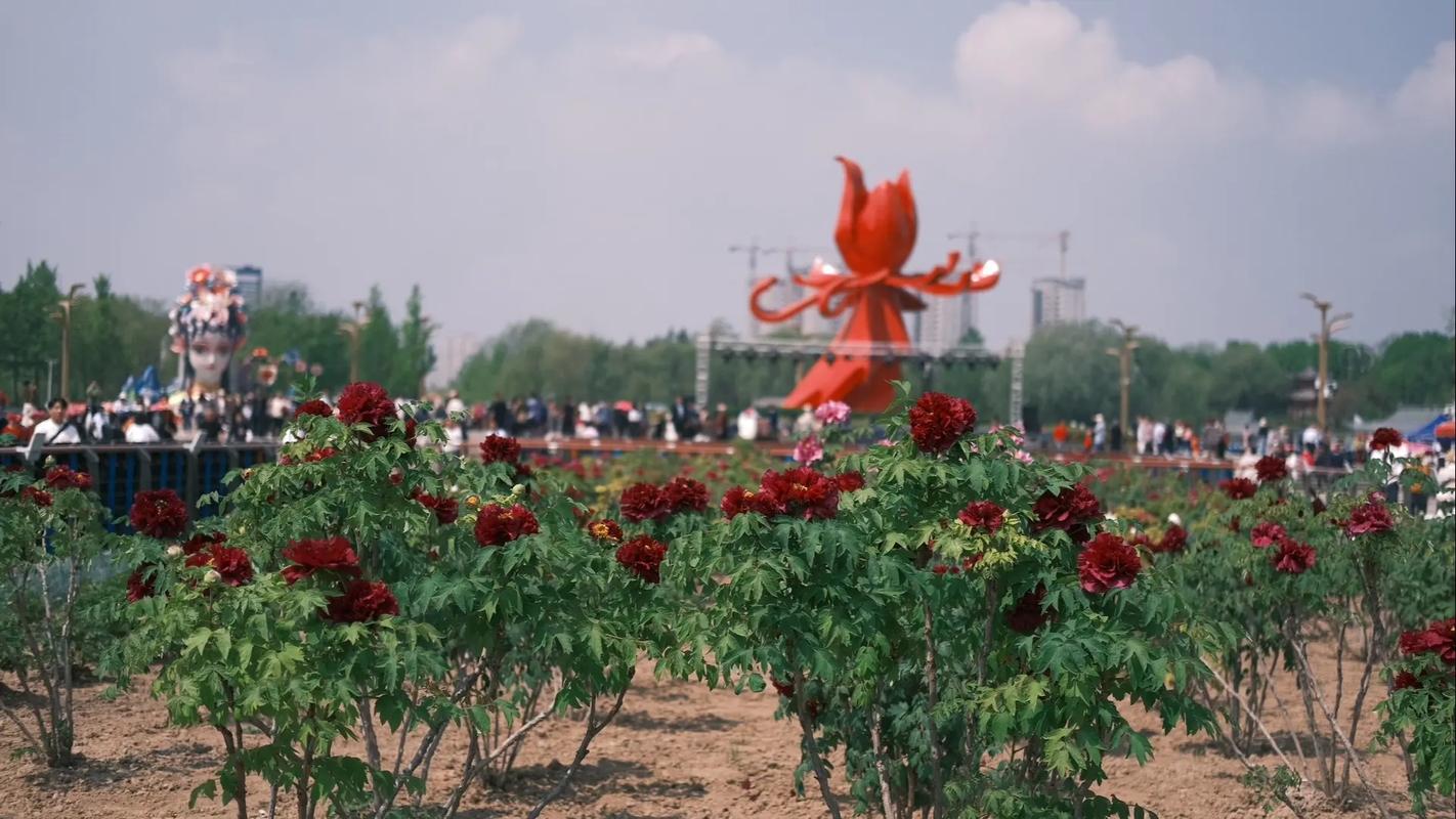 定陶最新天气预报，定陶 天气预报 中国 天气-第2张图片-优品飞百科