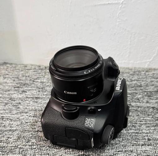 佳能70d最适合什么镜头，佳能70d相机镜头推荐？-第6张图片-优品飞百科