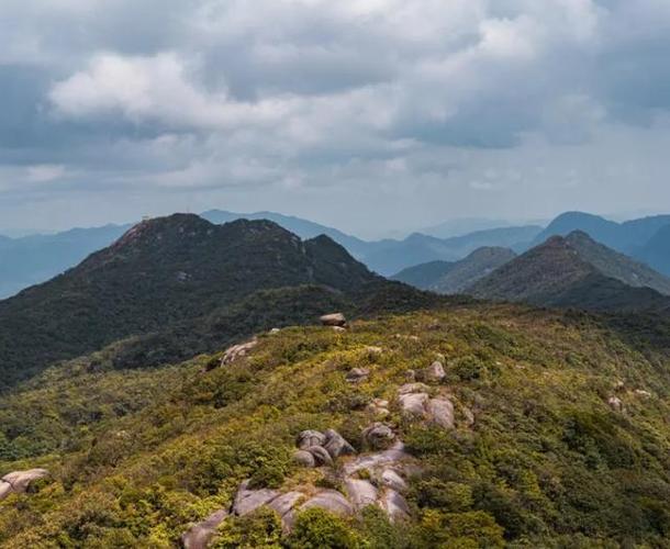 广州市黄埔区天气预报，广州市黄埔区天气预报今天是怎么样的呢？-第3张图片-优品飞百科