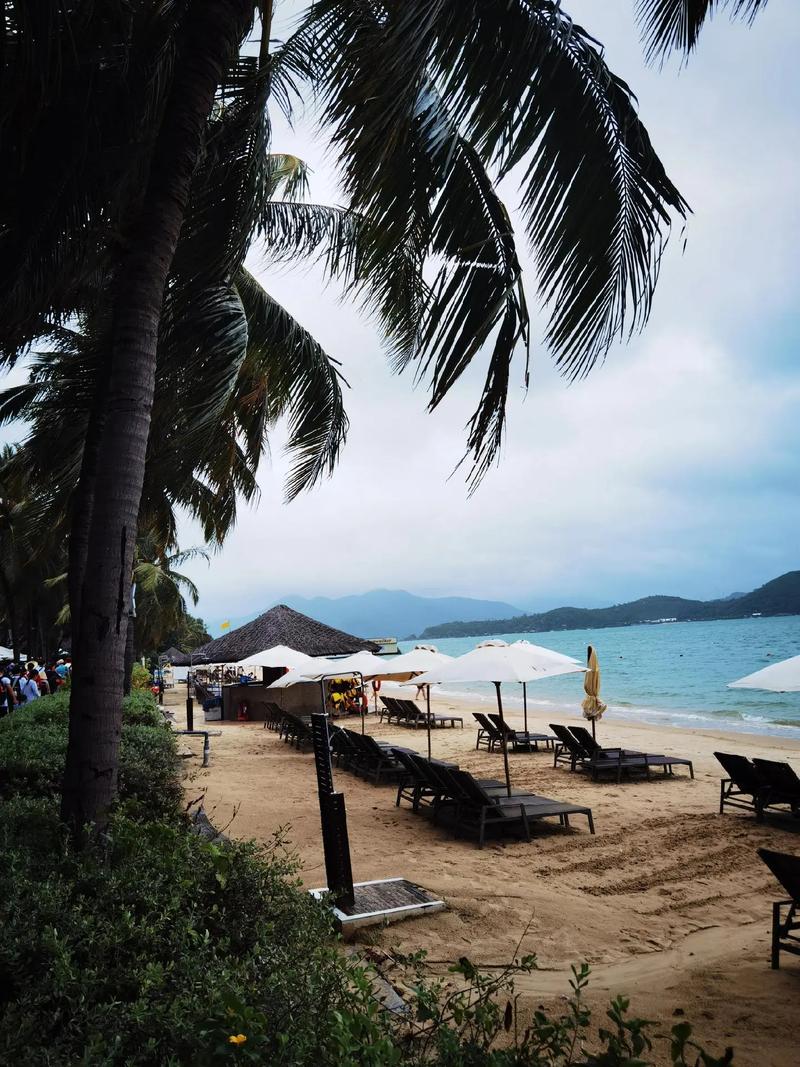 芽庄未来30天天气预报，芽庄未来30天天气预报视频？-第3张图片-优品飞百科