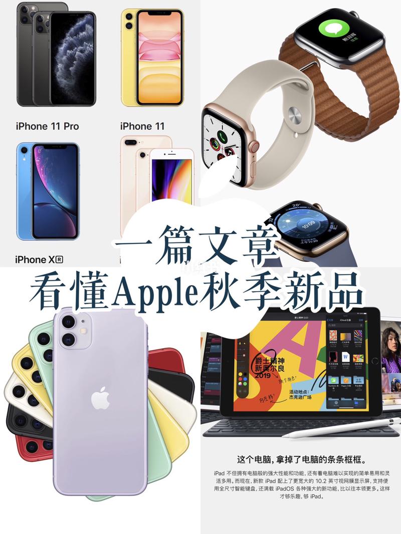 苹果2019年出了几个新款？苹果2019年出了几个新款手机？-第3张图片-优品飞百科