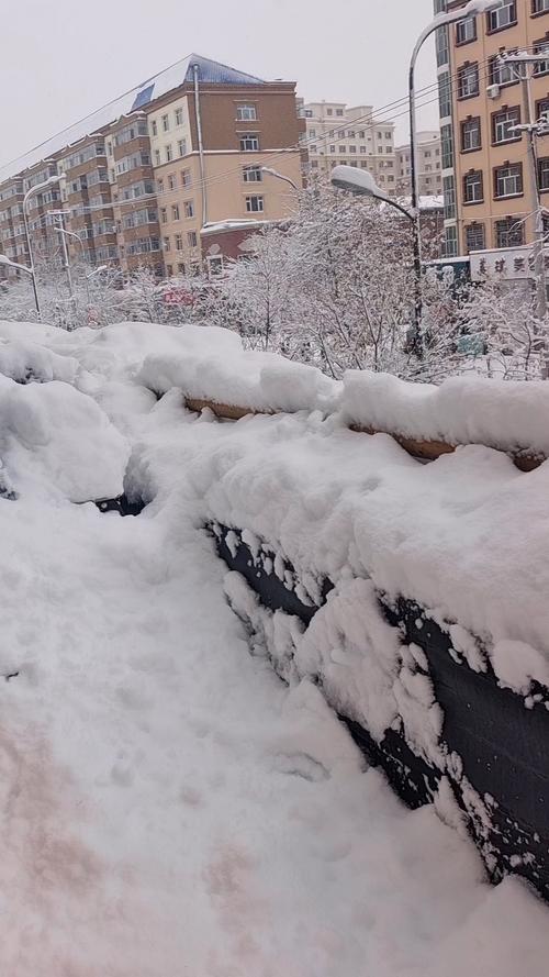 黑龙江鸡西天气预报，黑龙江鸡西天气预报半个月的？-第4张图片-优品飞百科