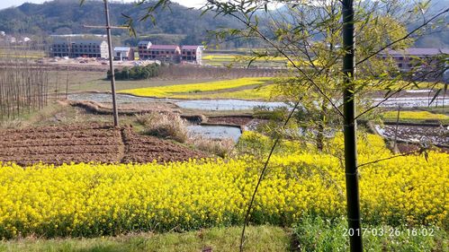 舒城天气预报？舒城天气预报30天准确？-第6张图片-优品飞百科