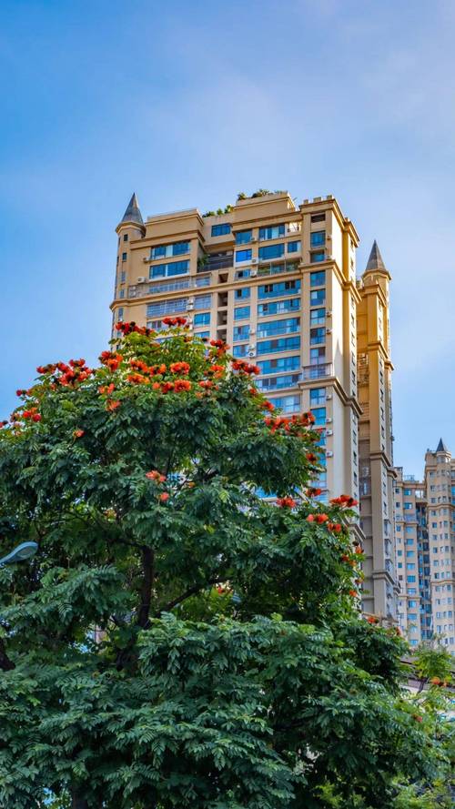 仁和天气预报？西充仁和天气预报？-第6张图片-优品飞百科