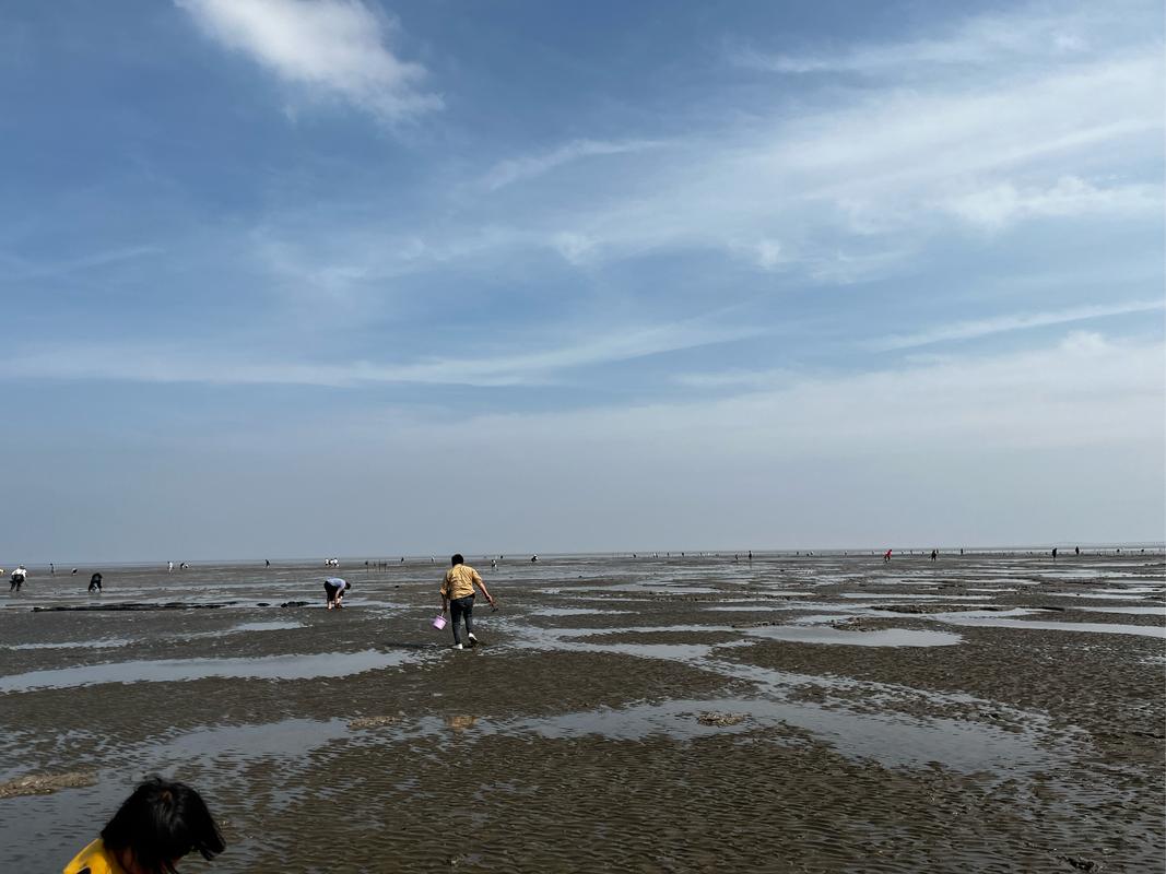 海门市天气预报，南通海门天气预报15天查询百度-第6张图片-优品飞百科