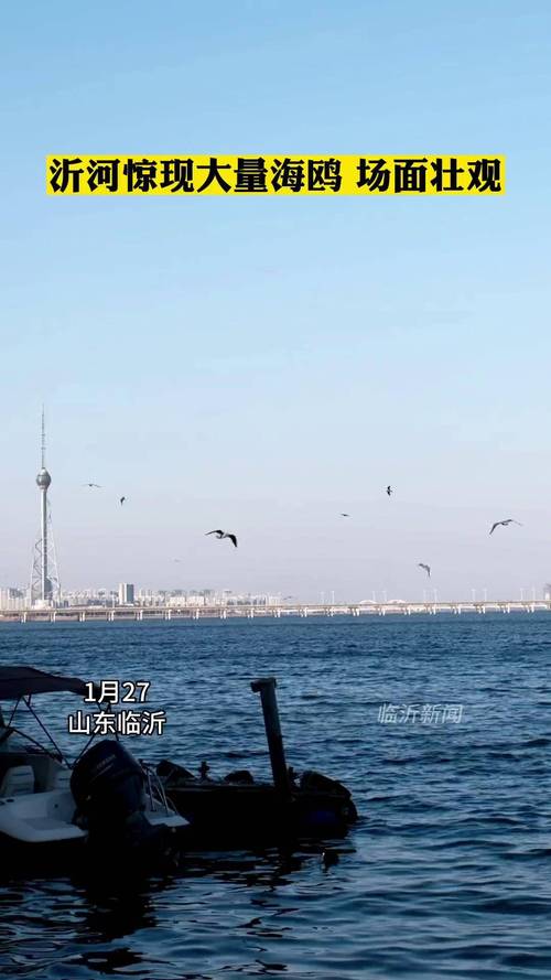 莒南一周天气预报，莒南天气预报15天查询结果？-第3张图片-优品飞百科