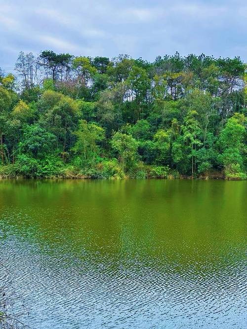 平果一周天气预报，平果天气预报15天 未来？-第4张图片-优品飞百科