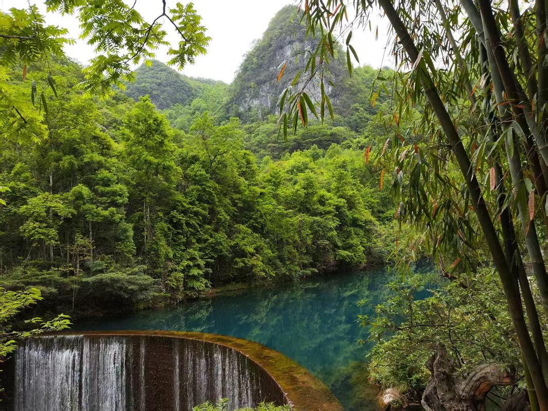 莆田市荔城区天气预报，福建省莆田市荔城区未来15天天气预报？-第1张图片-优品飞百科