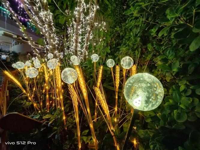 vivos12pro拍照怎么样？vivos1pro相机？-第3张图片-优品飞百科