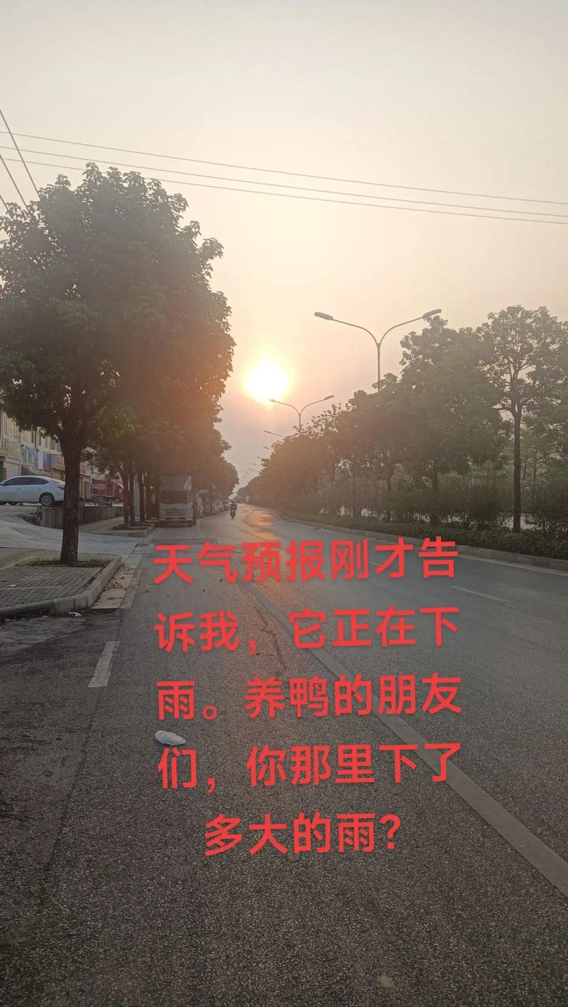 揭阳市天气预报？广东省揭阳市天气预报？-第3张图片-优品飞百科