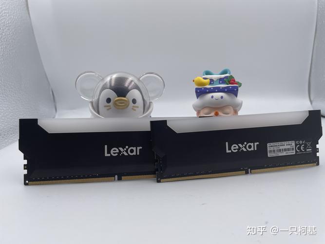 海盗船比较好的内存条，海盗船内存条排名？-第5张图片-优品飞百科