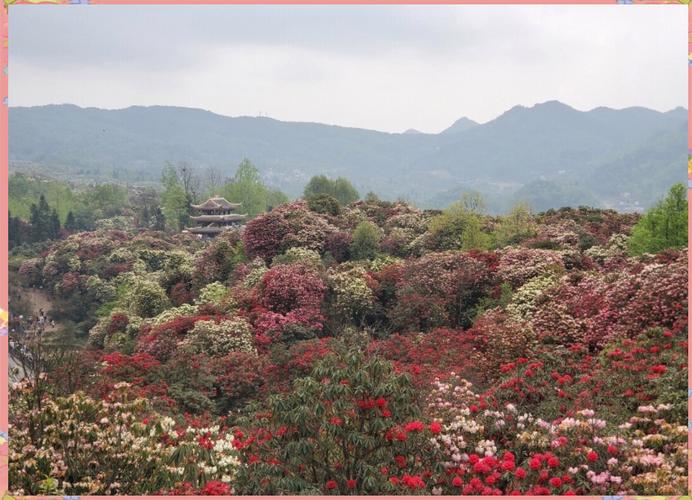 十五天天气预报查询？定州市十五天天气预报查询？-第1张图片-优品飞百科