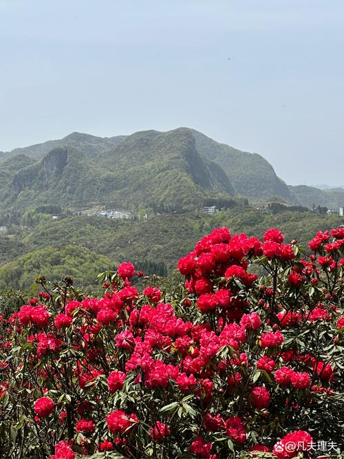 十五天天气预报查询？定州市十五天天气预报查询？-第4张图片-优品飞百科