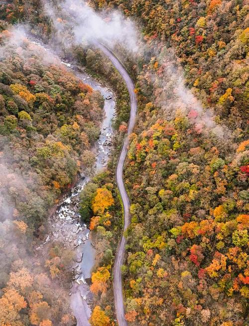 汉中市南郑县天气预报，南郑天气逐小时预报-第2张图片-优品飞百科