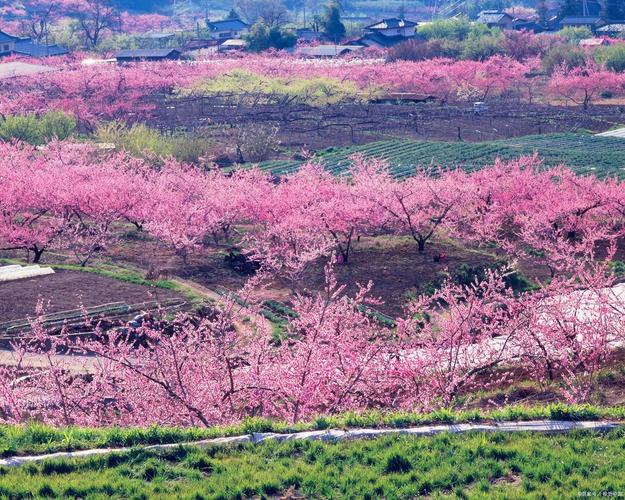 当涂县天气预报15天，当涂未来天气预报15天天气预报？-第1张图片-优品飞百科