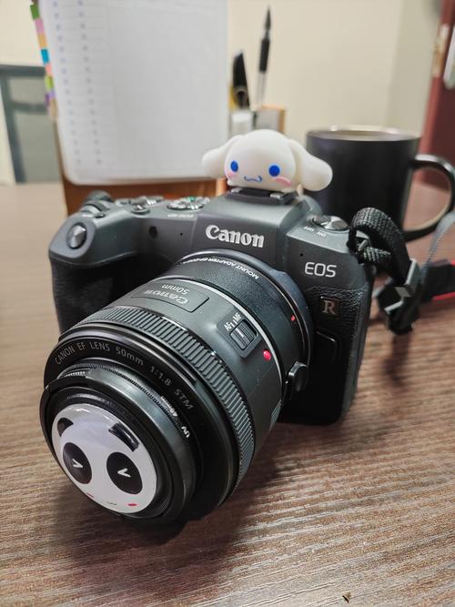 佳能微单eosr与rp哪款好，佳能微单r与rp拍照相差大吗