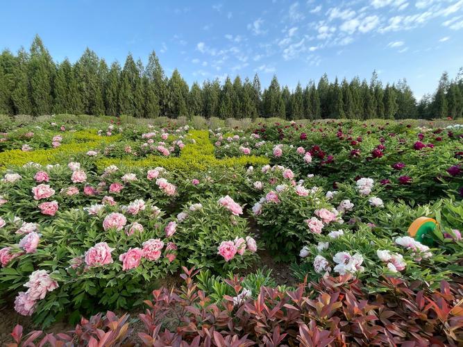 玉华宫天气预报，玉华宫天气预报30天-第3张图片-优品飞百科