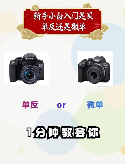 微单有必要买吗，微单到底值得买吗-第4张图片-优品飞百科