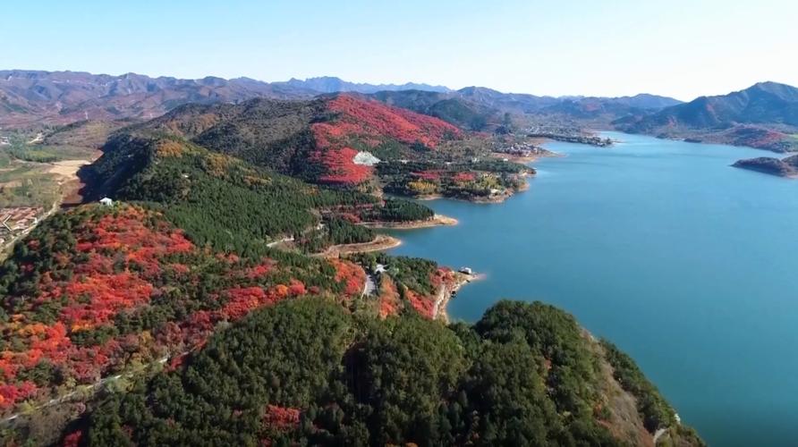 寺村天气预报，曾说过子非鱼安知鱼之乐的是谁-第2张图片-优品飞百科