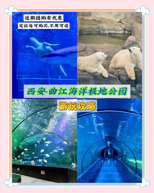 曲江天气预报15天？曲江区天气预报一周天气？-第1张图片-优品飞百科