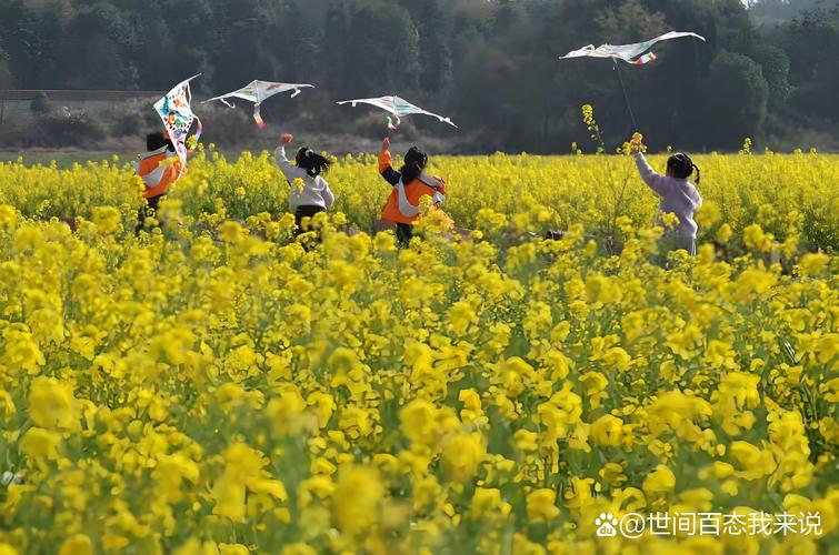 曲江天气预报15天？曲江区天气预报一周天气？-第3张图片-优品飞百科